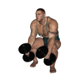 Hammer Curl - Squat Dumbbell Single